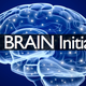 Illustration for article titled Obama has announced a $100-million brain mapping project
